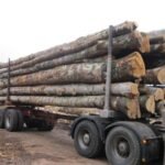 Camion de 30m3 Hêtre, Chêne,  Charme en grume